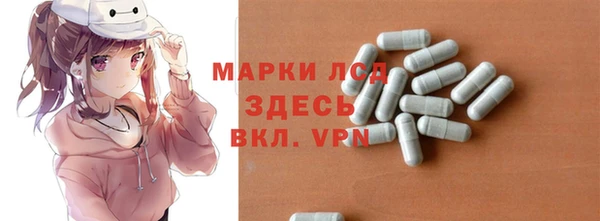прущие грибы Дмитровск