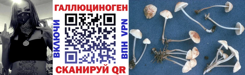 Псилоцибиновые грибы GOLDEN TEACHER  Дмитровск 